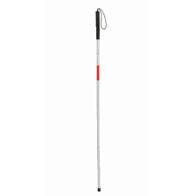 Walking Stick